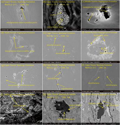 Comparative study on pore-connectivity and wettability characteristics of the fresh-water and saline lacustrine tuffaceous shales: triggering mechanisms and multi-scale models for differential reservoir-forming patterns